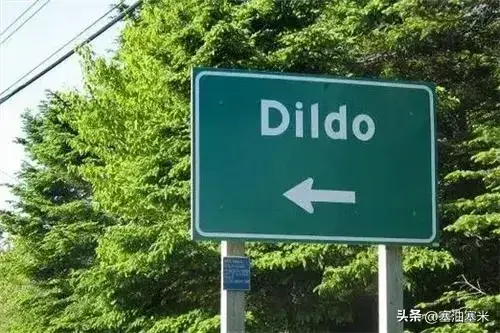 “Dildo”是什么意思？（看看狂野的东北地名，就能明白为啥很多国外地名不能直译）-第11张图片-拓城游