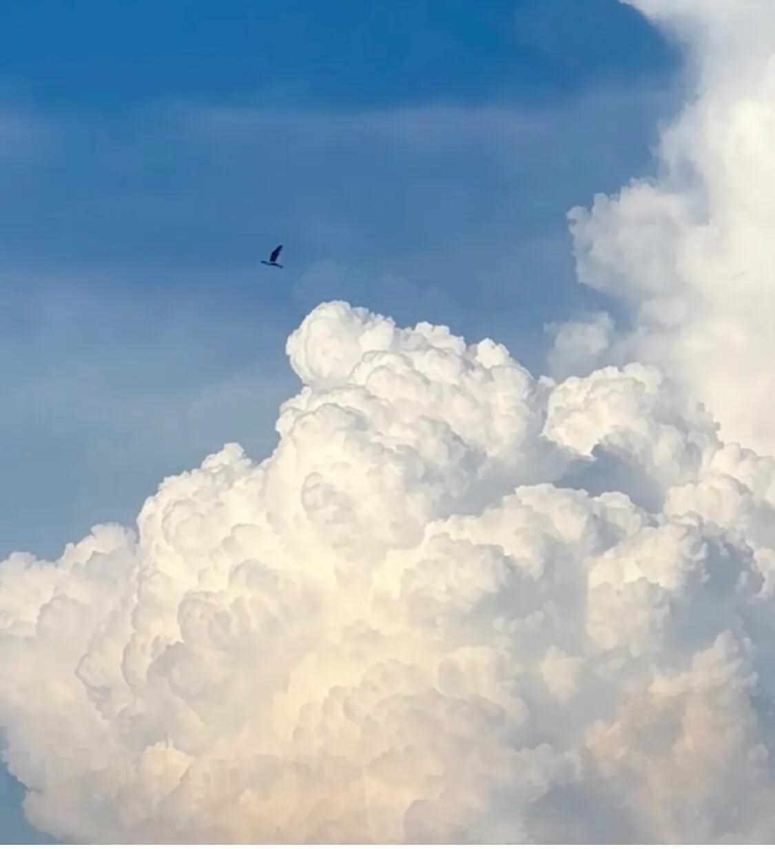 天空是蔚蓝色,窗外有千纸鹤是什么歌（“天空是蔚蓝色，窗外有千纸鹤”可是，天空为什么非得是蓝色呢？）-第6张图片-拓城游