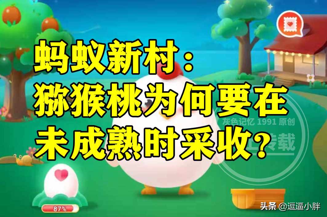 猕猴桃为何要在未成熟时采收（蚂蚁新村：猕猴桃为何要在未成熟时采收是便于运输销售吗？）-第5张图片-拓城游