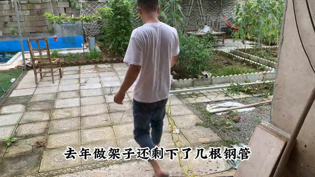 葡萄网的网站服务：（给葡萄网做一下加固 为了明年能够收获满满的葡萄#小院改造）-第2张图片-拓城游