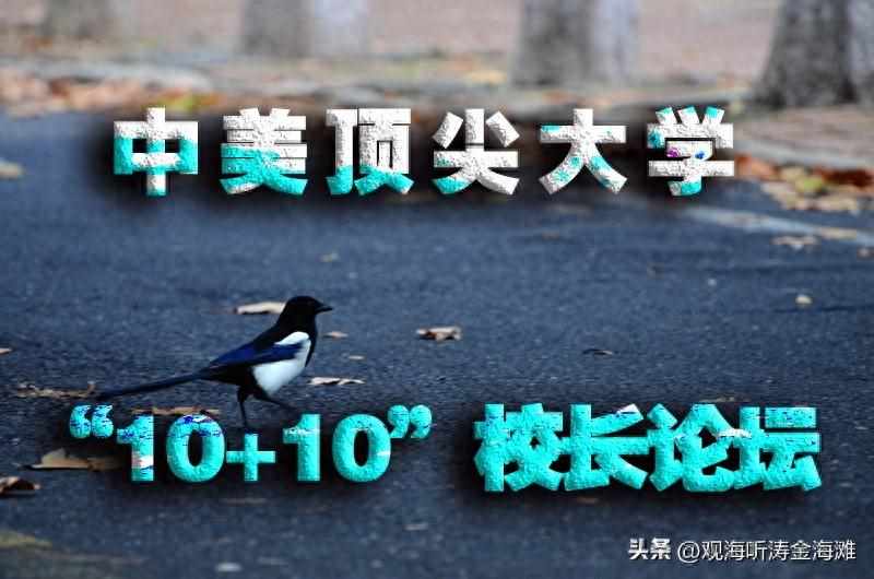 10.10.10米是多少米分米厘米（没参加中美顶尖大学“10+10”校长论坛，就不是好大学了吗?）-第2张图片-拓城游