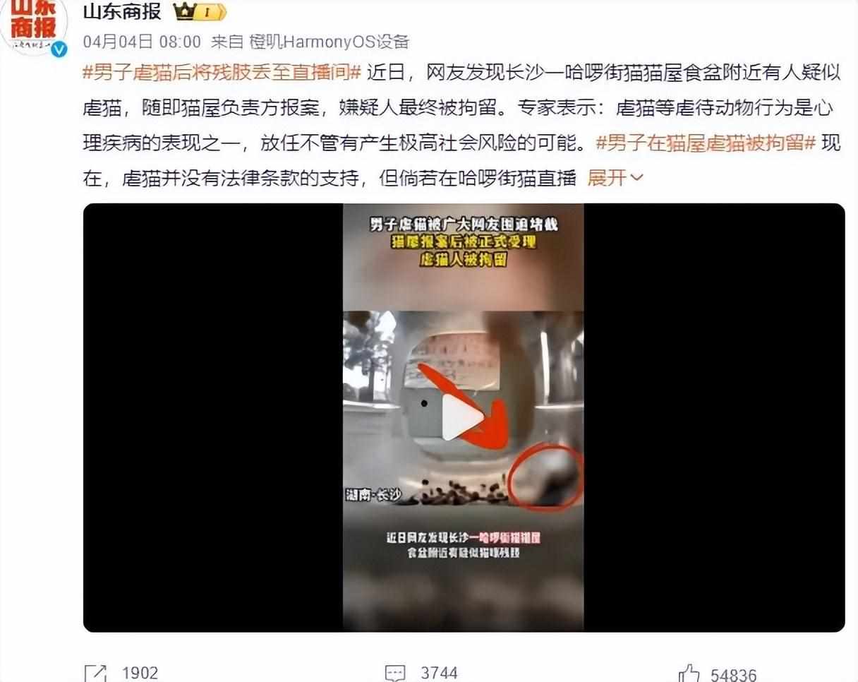 如何评价握爪app,及其行为目的?-知乎（哈啰街猫利用爱猫人士割韭菜？云投喂跟盲目放生的大爷娘没啥两样）-第7张图片-拓城游