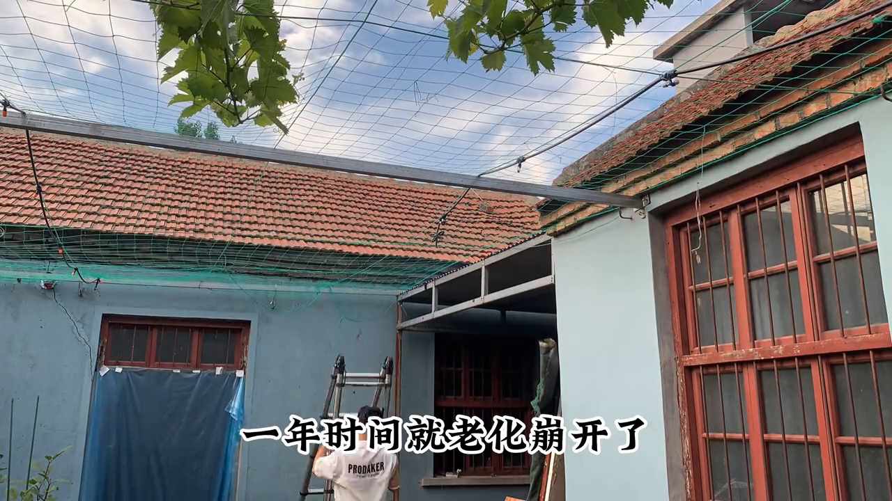 葡萄网的网站服务：（给葡萄网做一下加固 为了明年能够收获满满的葡萄#小院改造）-第5张图片-拓城游