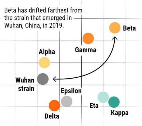 什么是突变体？（新冠变异病毒现“逃逸突变体”，科学家：恐让疫苗失效）