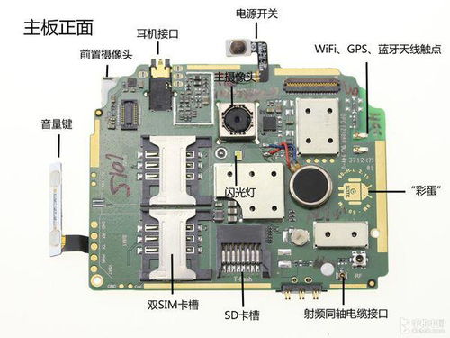 第一主板o1bz手机版使用方法（疫情尚在蔓延，这些展览和博物馆在家就能看）