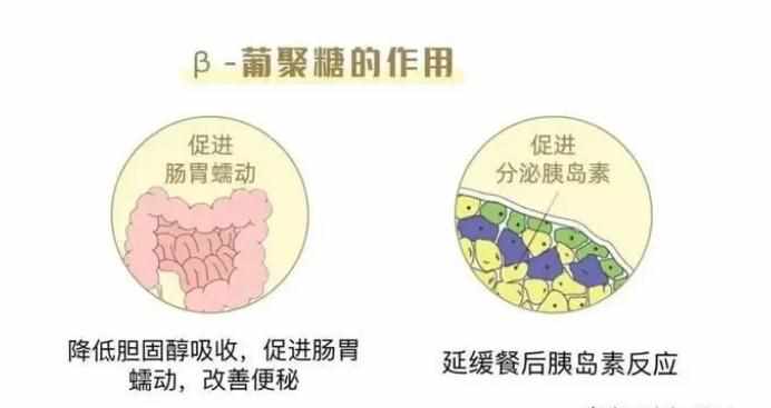 支付宝燕麦奶的主要成分是牛奶吗-蚂蚁庄园2023年4月15日今日答案早知道（燕麦奶≠燕麦+奶？扒了9款燕麦奶营养成分表）-第11张图片-拓城游