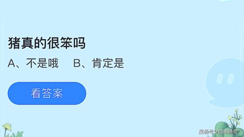 猪真的很笨吗蚂蚁庄园（猪的智商在动物之中究竟是什么水平？它们真有那么笨吗？）