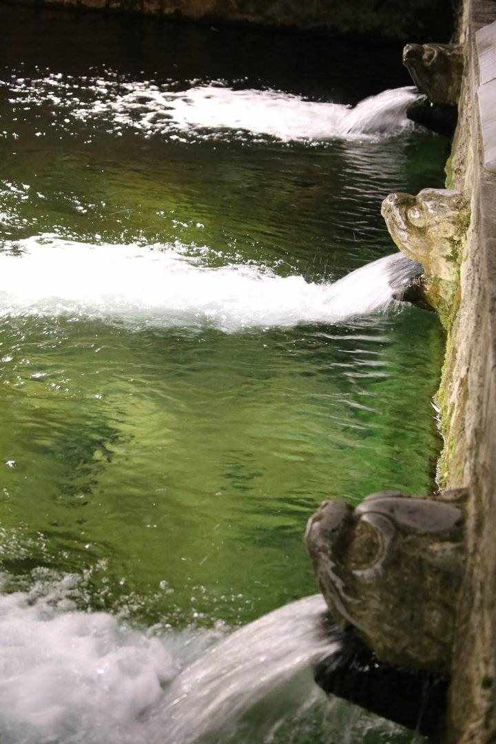 家家泉水户户垂杨形容的是哪座城市的景色（济南，这是一座以泉水闻名的城市，所谓的家家泉水，户户垂柳）-第31张图片-拓城游