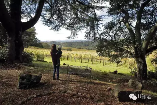 热香料苹果酒－Mulledspicedcider怎样做好吃呢？（听说美国加州也玩新酒，这是真的吗？）-第2张图片-拓城游