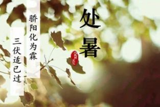 处暑节气的处读几声（处（chǔ）暑还是处（chù）暑？你读对了吗？）