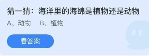 海洋里的海绵是植物还是动物-蚂蚁庄园8月11日答案（海洋里的海绵是植物还是动物？蚂蚁庄园8.11今日正确答案）-第3张图片-拓城游