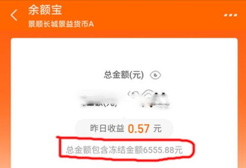 支付宝余额宝冻结的金额怎么拿出来（支付宝余额宝冻结资金怎么解开冻结 冻结的钱转出取出来方法）