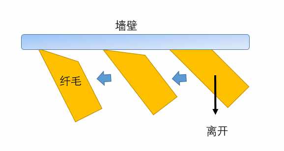 为什么壁虎可以飞檐走壁（壁虎之所以能够“飞檐走壁”，离不开这种力的作用）-第9张图片-拓城游