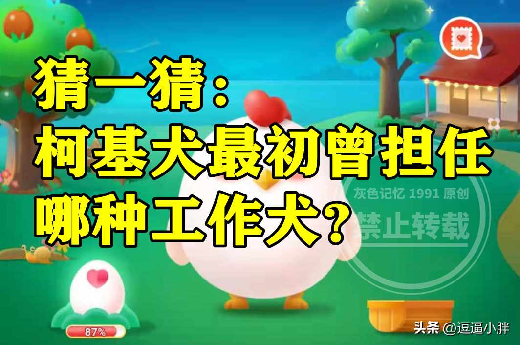 蚂蚁庄园11月23日：柯基犬最初曾担任哪种工作犬（柯基犬最初曾担任哪种工作犬是警犬还是牧牛犬？蚂蚁庄园答案）-第2张图片-拓城游