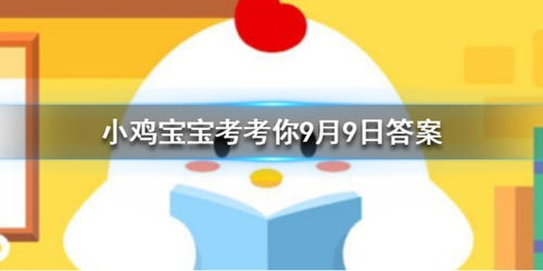 小鸡宝宝考考你，95公益周是什么_9月4日每日一题答案（95公益周是什么？答案是第95个公益周还是公益界双十一）