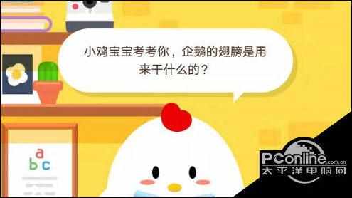 企鹅的翅膀是用干什么的（企鹅的翅膀是用来干什么的？支付宝蚂蚁庄园小课堂11月19日答案）-第2张图片-拓城游