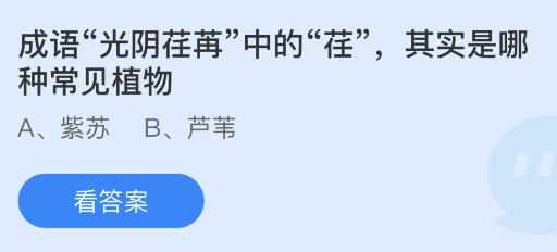 成语光阴荏苒中的荏其实是哪种常见植物-蚂蚁庄园7月25日答案（成语光阴荏苒中的荏其是哪种常见植物？蚂蚁庄园7.25今日答案）-第2张图片-拓城游