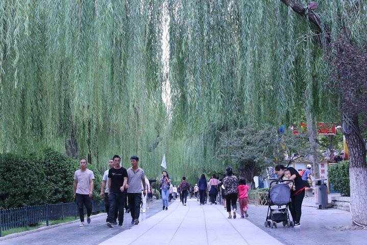 家家泉水户户垂杨形容的是哪座城市的景色（济南，这是一座以泉水闻名的城市，所谓的家家泉水，户户垂柳）-第23张图片-拓城游