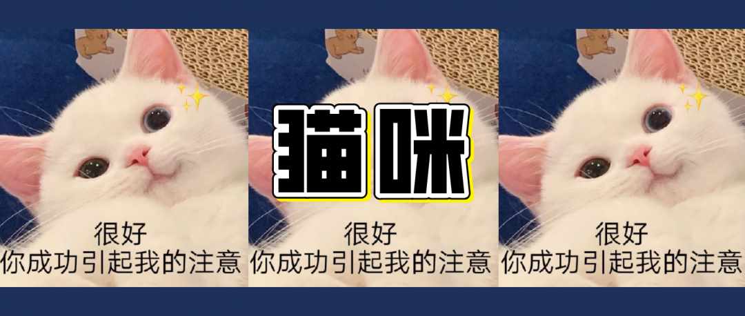 勇敢牛牛不怕困难原图是什么-勇敢牛牛表情包制作素材原图（​​表情包丨勇敢牛牛，不怕困难（生肖动物版））-第32张图片-拓城游