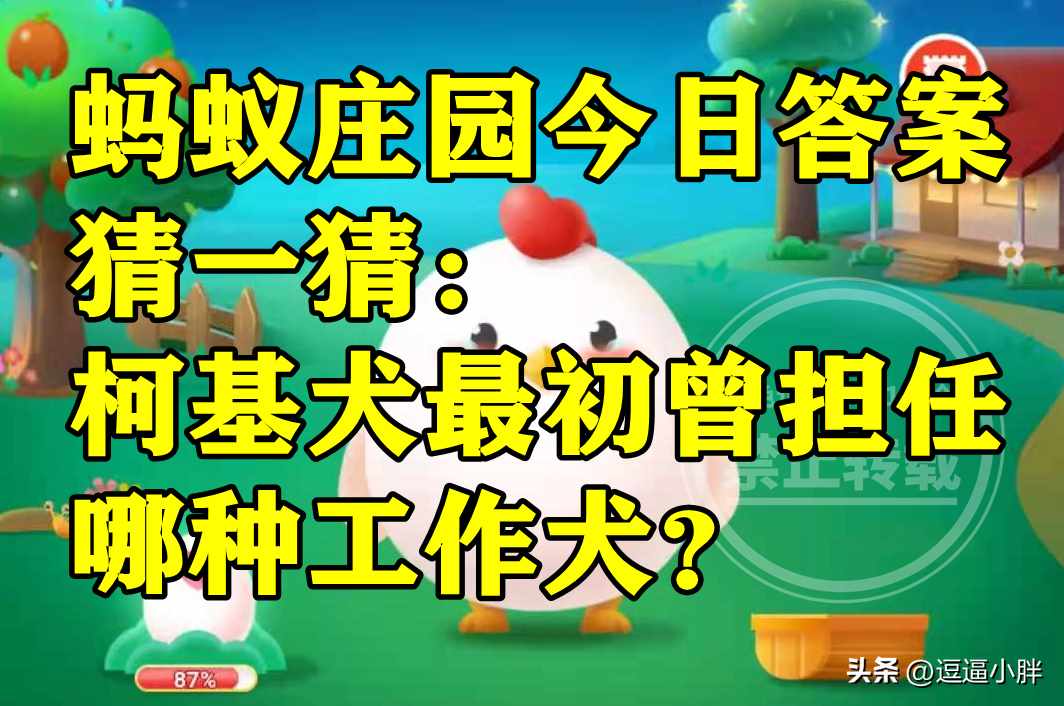 蚂蚁庄园11月23日：柯基犬最初曾担任哪种工作犬（柯基犬最初曾担任哪种工作犬是警犬还是牧牛犬？蚂蚁庄园答案）-第6张图片-拓城游