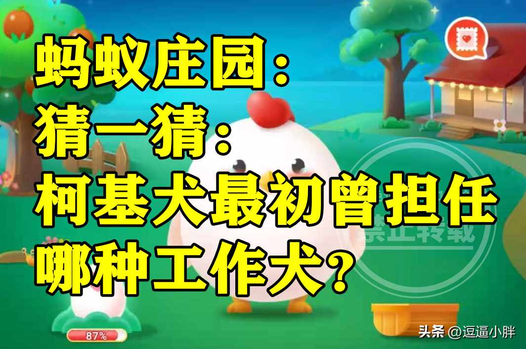 蚂蚁庄园11月23日：柯基犬最初曾担任哪种工作犬（柯基犬最初曾担任哪种工作犬是警犬还是牧牛犬？蚂蚁庄园答案）-第5张图片-拓城游