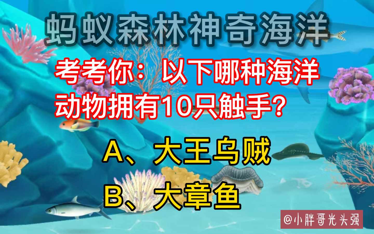 考考你以下哪种海洋动物拥有10只触手（考考你：哪种海洋动物拥有10只触手？蚂蚁森林神奇海洋）-第2张图片-拓城游