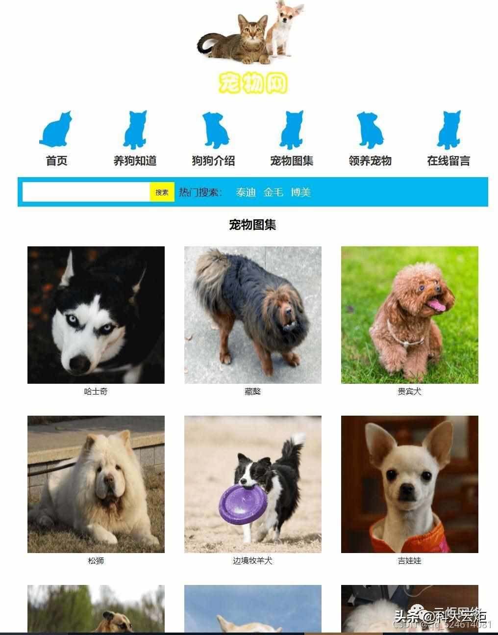 大学生网页作业该怎么做？（so easy！）（HTML5期末大作业：宠物网(8页)网页设计作业成品 web课程设计）-第5张图片-拓城游