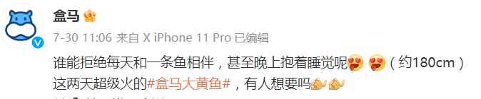 大黄鱼抱枕被炒到666元 大黄鱼抱枕为什么火了（“大黄鱼抱枕”被炒到666元！盒马官方：只送不卖）-第3张图片-拓城游