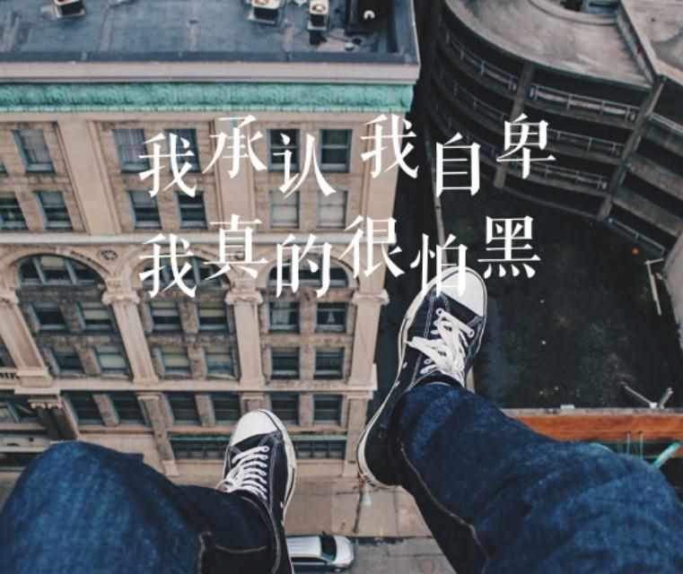 我承认我自卑出自什么歌（我承认我自卑，我真的很怕黑）-第2张图片-拓城游