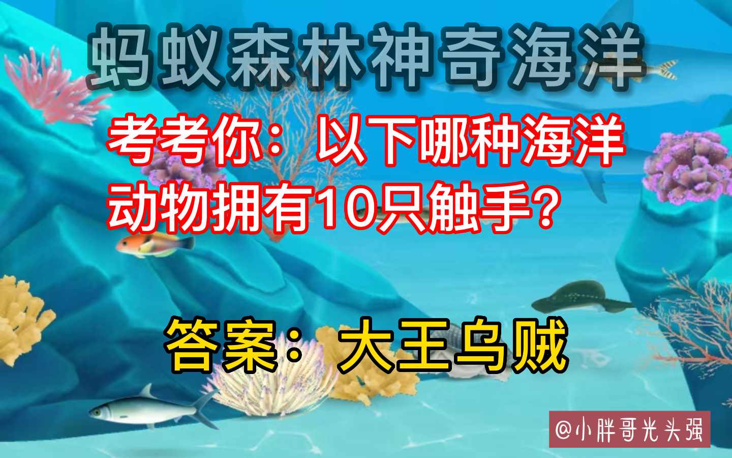 考考你以下哪种海洋动物拥有10只触手（考考你：哪种海洋动物拥有10只触手？蚂蚁森林神奇海洋）-第5张图片-拓城游