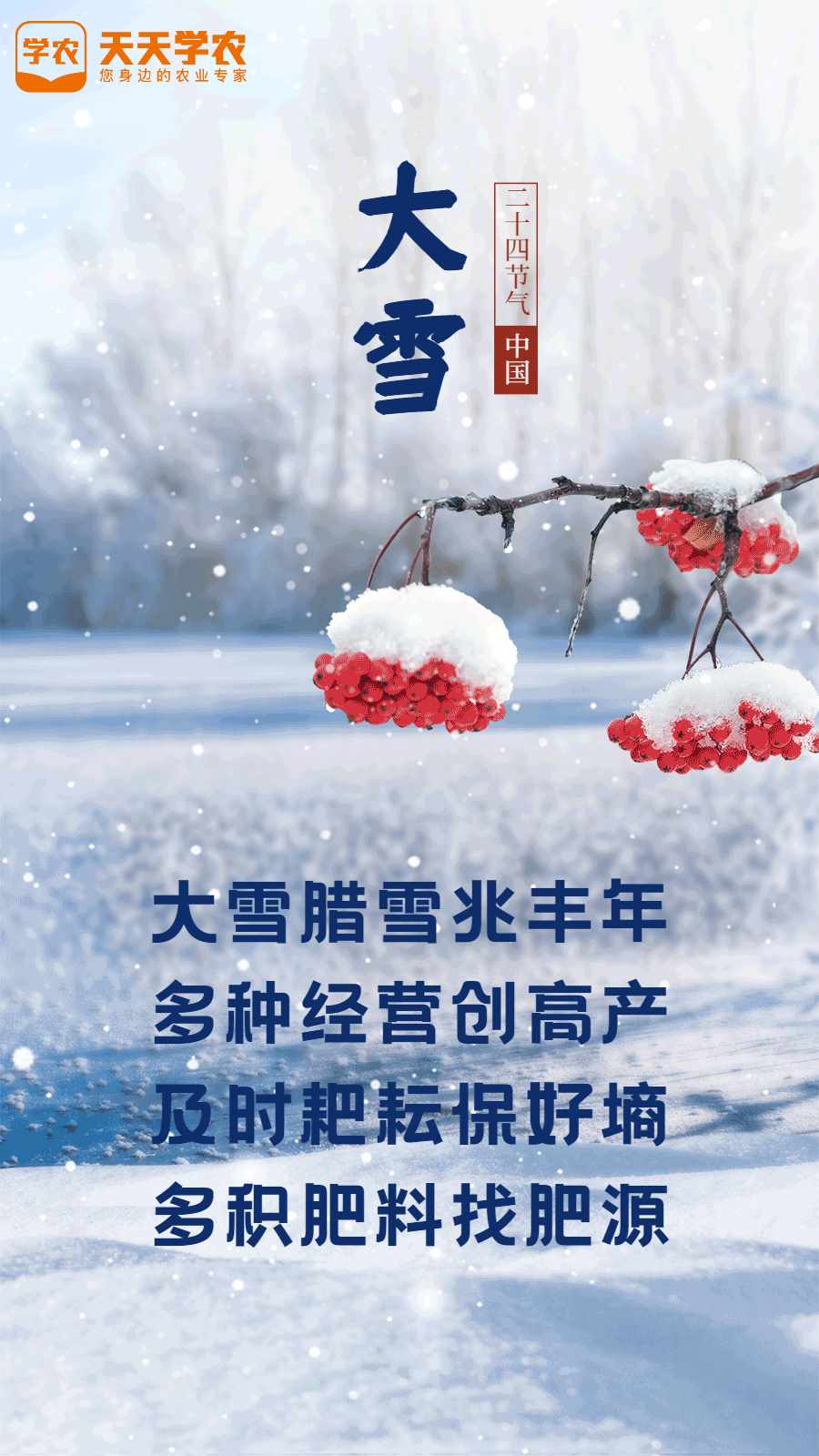 俗语说瑞雪兆丰年下雪对农事的好处包括（今日大雪，农事怎么操作更丰产？农谚有何说法？看看老祖宗怎么说）-第2张图片-拓城游