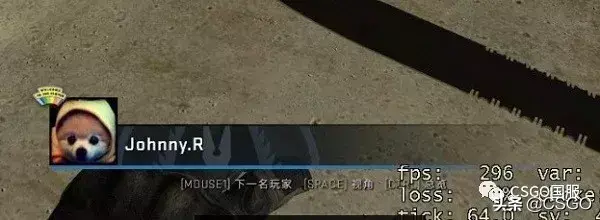 cs战队名字大全（这些沙雕的CSGO ID，暴露了真实的你）-第2张图片-拓城游