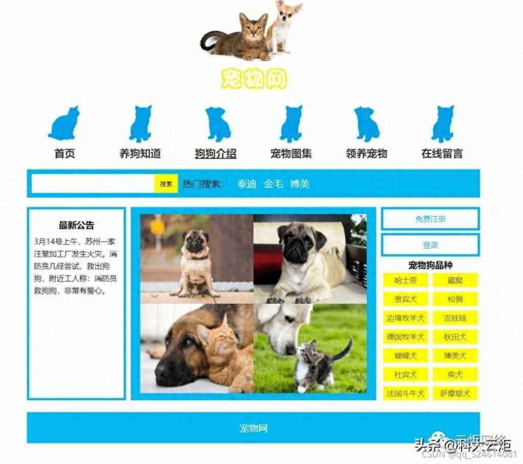 大学生网页作业该怎么做？（so easy！）（HTML5期末大作业：宠物网(8页)网页设计作业成品 web课程设计）-第2张图片-拓城游