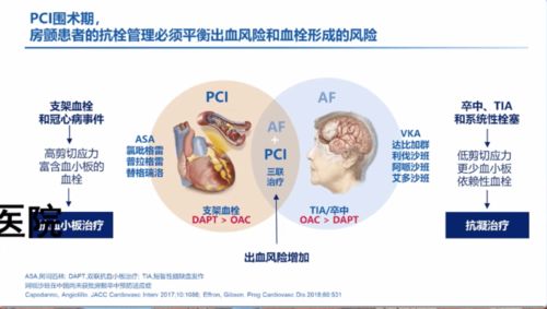 icc教授门怎么开（第二届角膜及眼表疾病国际论坛（2024·ICC）举行）-第1张图片-拓城游