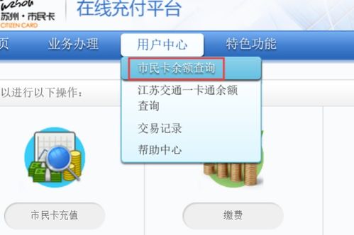 市民卡余额怎么查询（绿色公交市民卡丢失 怎么查询卡里余额）