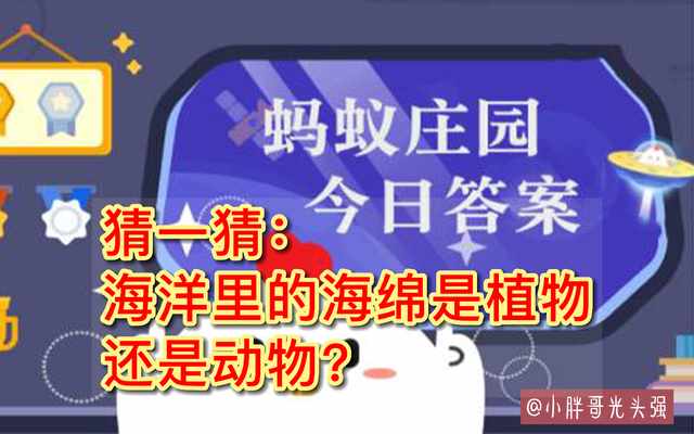 支付宝猜一猜海洋里的海绵是植物还是动物答案是什么-蚂蚁庄园2022年8月11日今日答案早知道（猜一猜：海洋里的海绵是植物还是动物？8月11日蚂蚁庄园最新答案）-第2张图片-拓城游