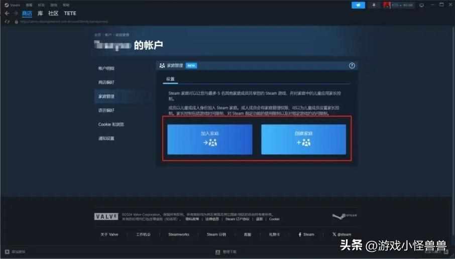 steam怎么设置家庭共享&#160;steam家庭共享设置方法（steam家庭共享怎么开给好友/怎么收回？详细教程分享）-第9张图片-拓城游