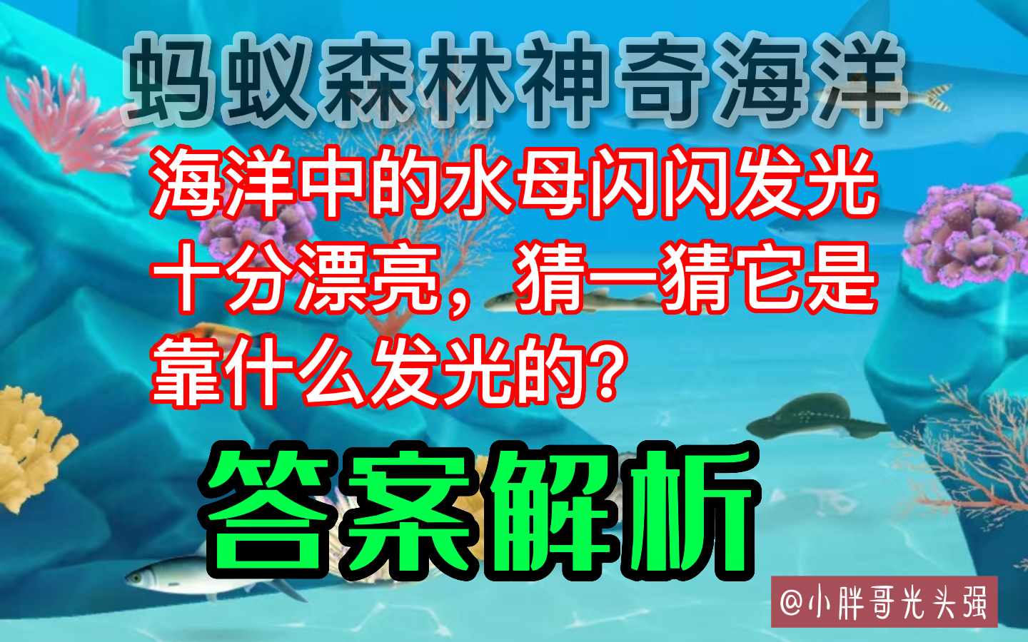 海洋中的水母闪闪发光十分漂亮猜一猜它是靠什么发光的（海洋中的水母闪闪发光十分漂亮，是靠什么发光？蚂蚁森林神奇海洋）-第2张图片-拓城游