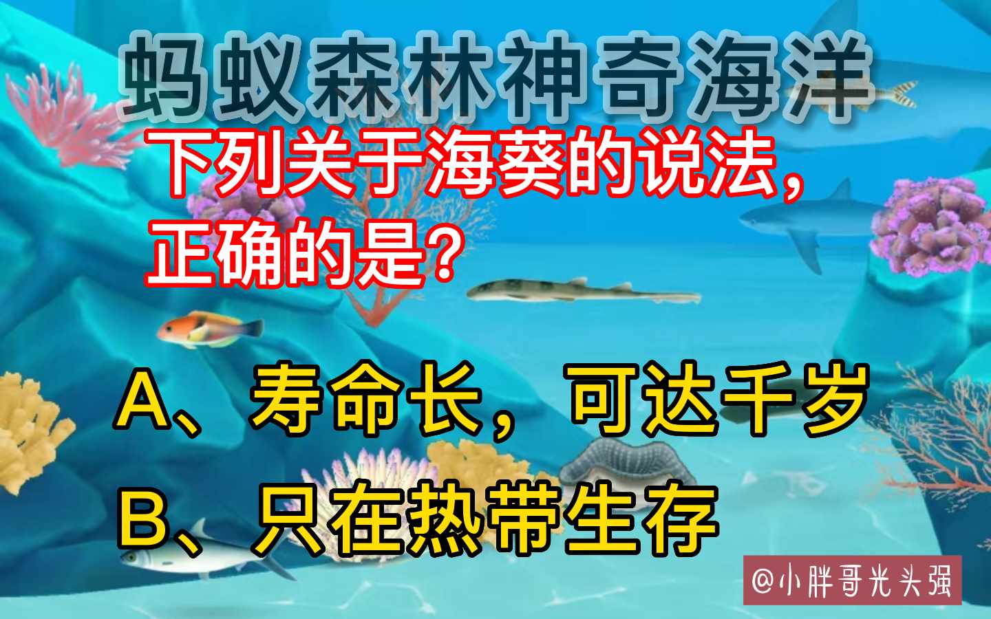 支付宝神奇海洋下列关于海葵说法正确的是（关于海葵的说法，正确的是？蚂蚁森林神奇海洋）-第2张图片-拓城游