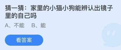 家里的小猫小狗能辨认出镜子里的自己吗-蚂蚁庄园6月25日答案（家里的小猫小狗能辨认出镜子里的自己吗？蚂蚁庄园6.25今日答案）-第3张图片-拓城游