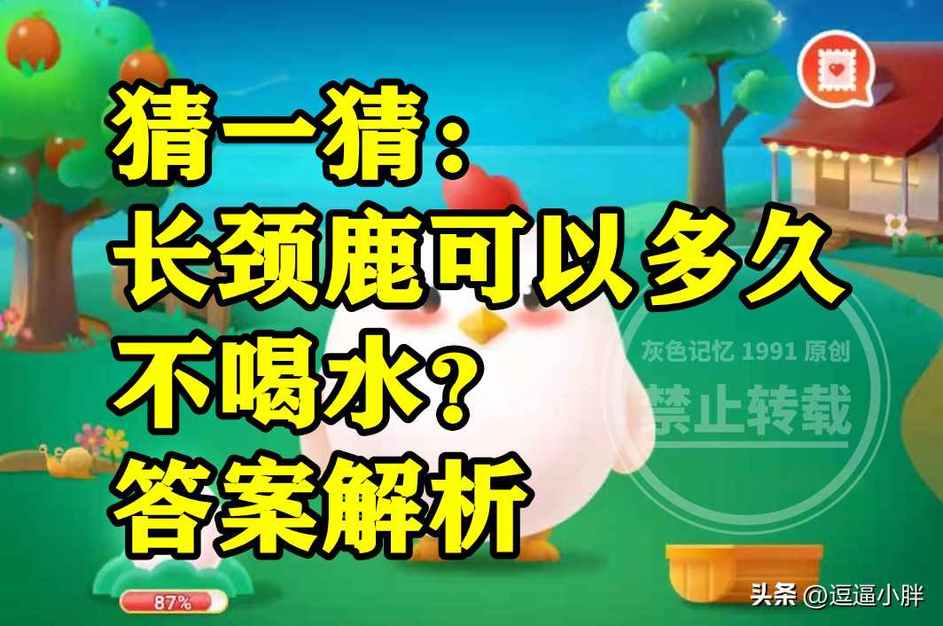 长颈鹿可以多久不喝水（蚂蚁庄园长颈鹿多久不喝水答案 长颈鹿可多久不喝水三年还是一年）-第4张图片-拓城游