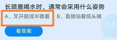 哪种细胞被称为人体的健康卫士（哪种细胞被称为人体的健康卫士？支付宝蚂蚁庄园5月17日答案）-第3张图片-拓城游