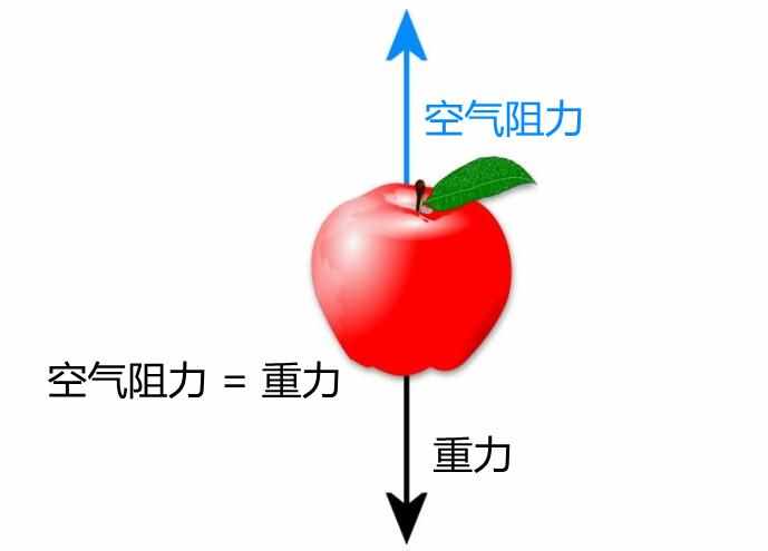 漂浮在天空中的一朵云，可能有多重_支付宝4月14日每日一题（一朵云可重达500吨，为什么天空中的云不会掉下来？）-第5张图片-拓城游