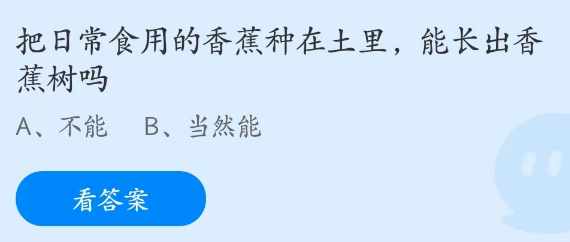 支付宝海龟的龟壳实际上是它的-蚂蚁庄园2023年3月2日今日答案早知道（海龟的龟壳实际上是它的？支付宝蚂蚁庄园3月2日答案）-第3张图片-拓城游