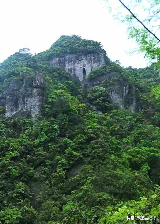 阴阳师狸猫哪里多 阴阳师狸猫在哪些副本（梧桐镇在哪里？全国各地有3个梧桐镇，福建、山西、新疆各有一个）-第5张图片-拓城游