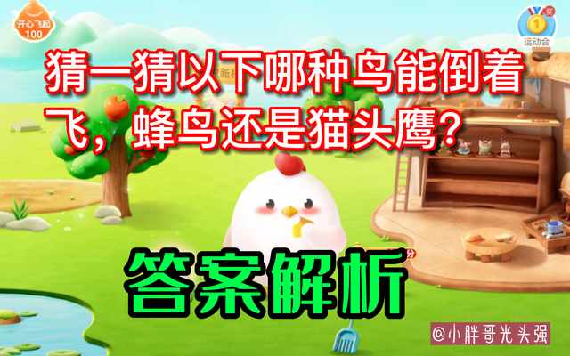 支付宝猜一猜以下哪种鸟能倒着飞-蚂蚁庄园2022年10月27日今日答案早知道（猜一猜以下哪种鸟能倒着飞，蜂鸟还是猫头鹰？蚂蚁庄园小知识）-第3张图片-拓城游