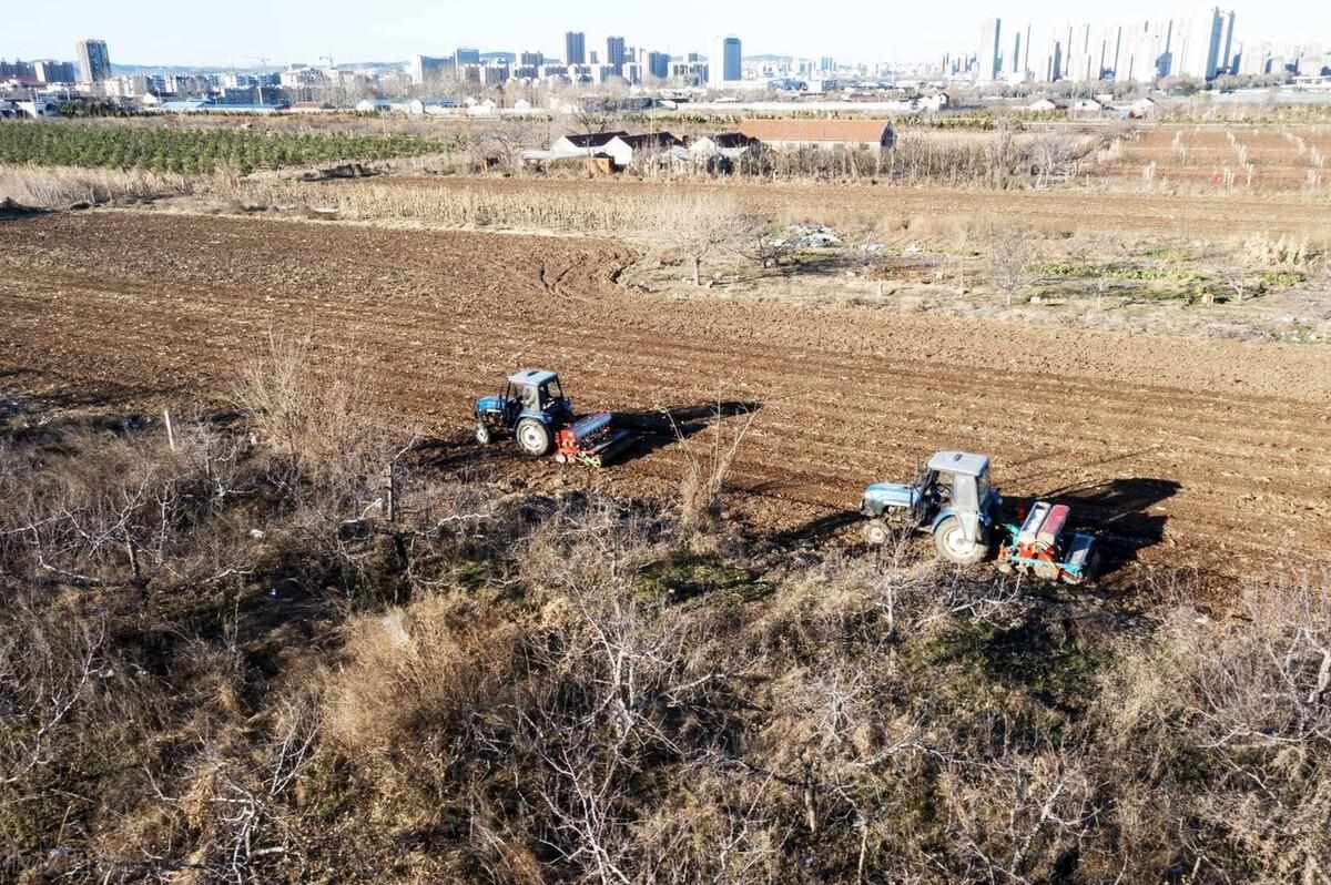 俗语说瑞雪兆丰年下雪对农事的好处包括（今日大雪，农事怎么操作更丰产？农谚有何说法？看看老祖宗怎么说）-第4张图片-拓城游