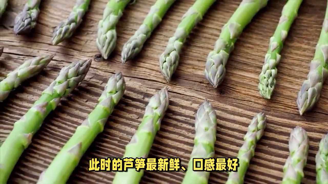 什么样的芦笋口感更好 蚂蚁庄园今日答案3.20（什么样的芦笋口感更好，清脆还是细腻？品种）-第3张图片-拓城游