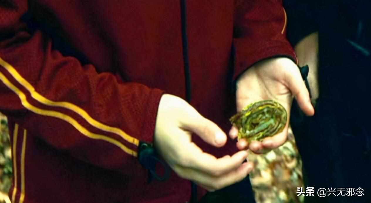 pottermore的攻略（《哈利波特》中的角色 10 个有趣秘密）-第10张图片-拓城游