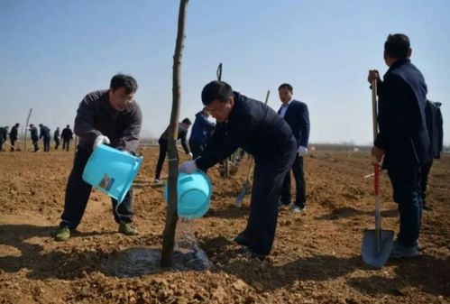 四旁植树是指哪四旁（鼓励农村“四旁”种植乡土珍贵树种 保护好古树名木）-第1张图片-拓城游